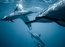 杏彩体育官网-辽中区首届六人制室内足球赛火热开赛